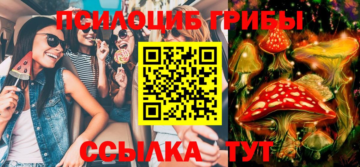 Галлюциногенные грибы Cubensis Раменское