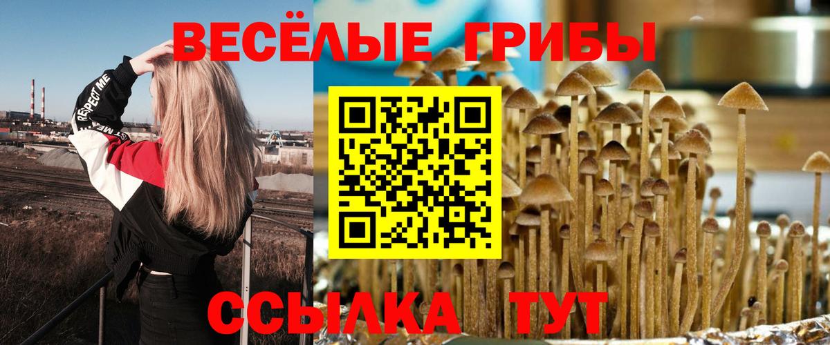 Псилоцибиновые грибы GOLDEN TEACHER  что такое наркотик  Вход с VPN  Раменское  Галлюциногенные грибы GOLDEN TEACHER 